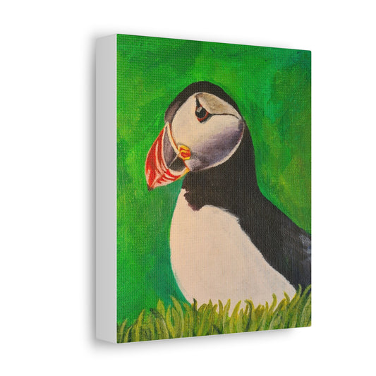 Puffin, Print on Stretched Canvas Art