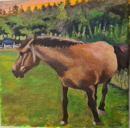 New Forest Horse image 1