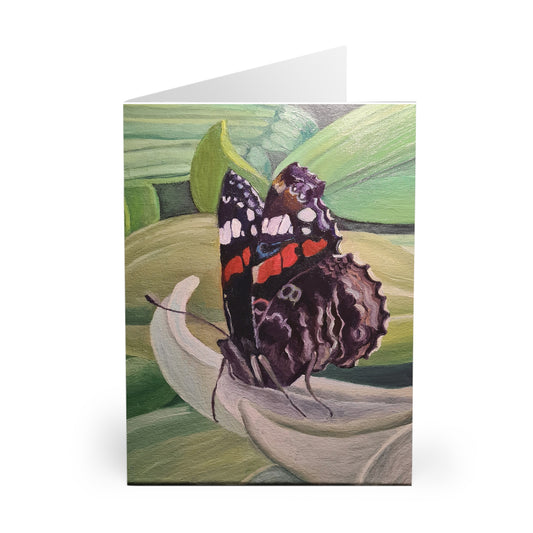 Beautiful Butterfly Greeting Cards - 5 Pack, Birthday Wishes, Thank You Notes, Floral Occasion Cards, Handmade Card Set