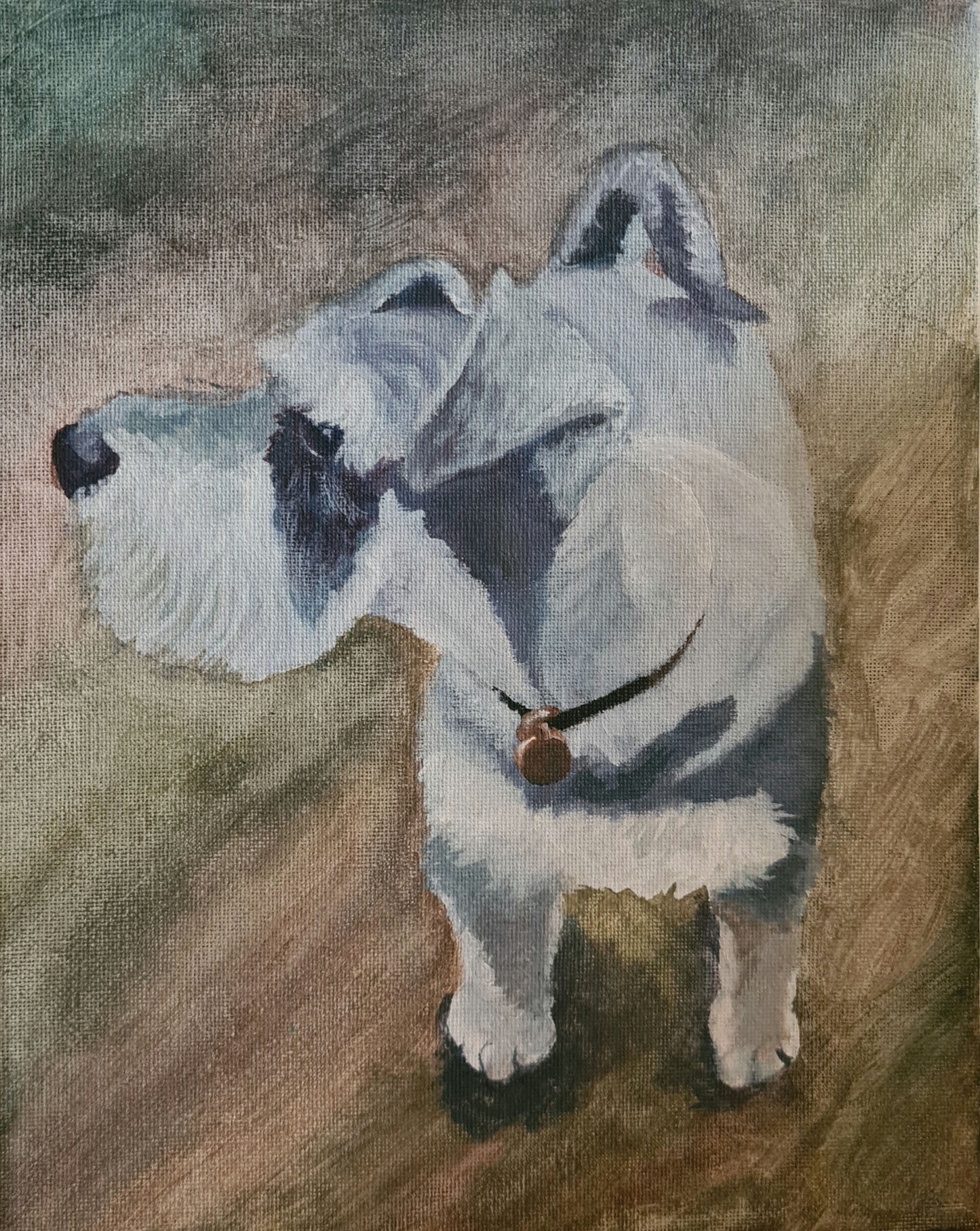 'Monty' image 0