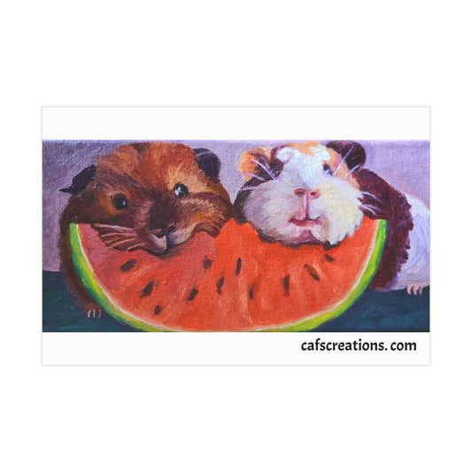 Insta - Piggies