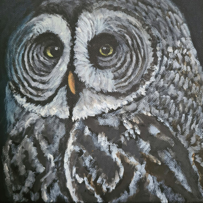 Owl image