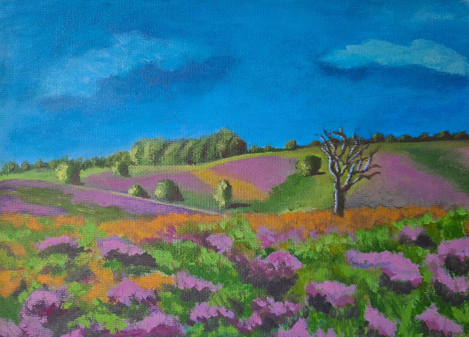 Floral and Nature