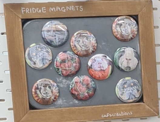 Button Magnets