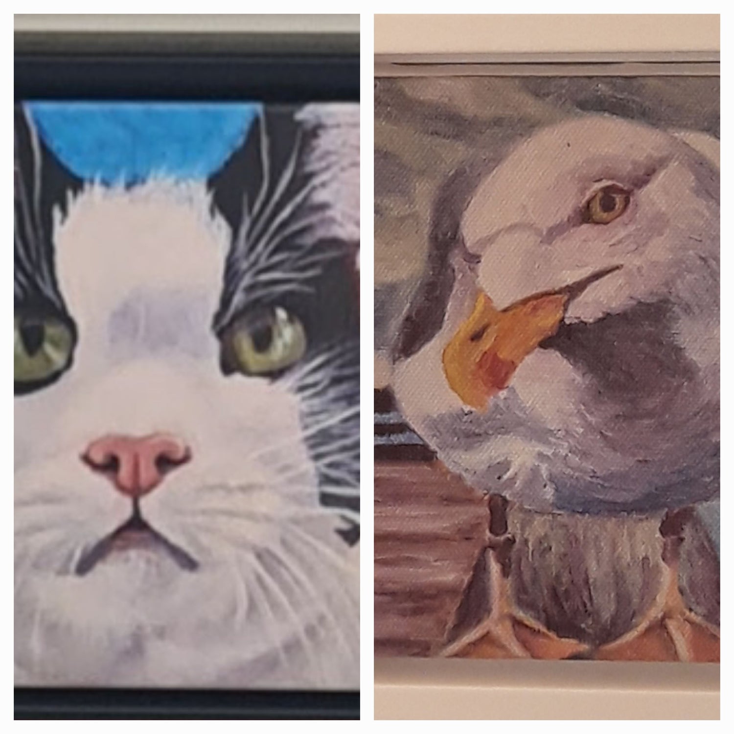 Printed canvas or posters, framed or unframed