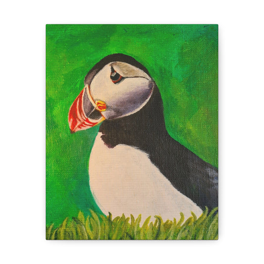 Puffin, Print on Stretched Canvas Art