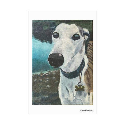Jack, the Grey Hound