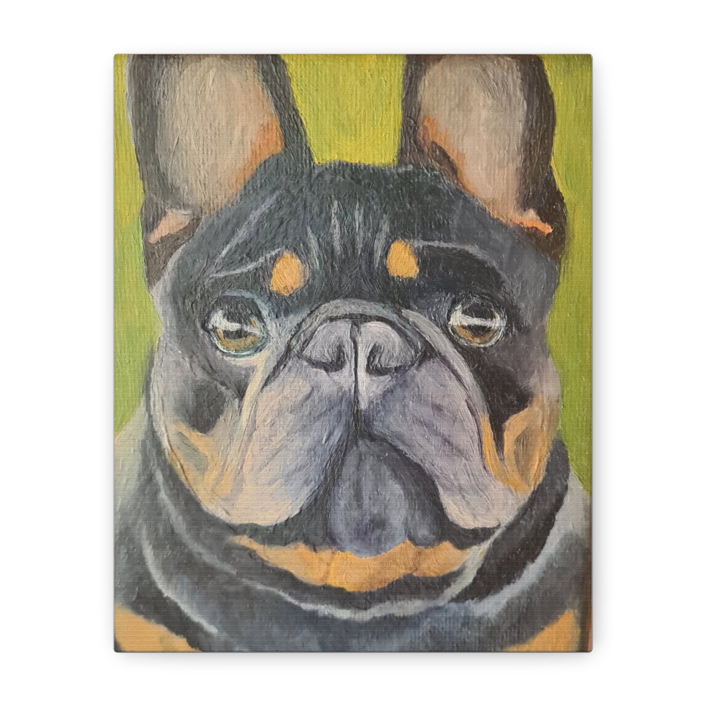 French Bulldog Portrait Canvas Print