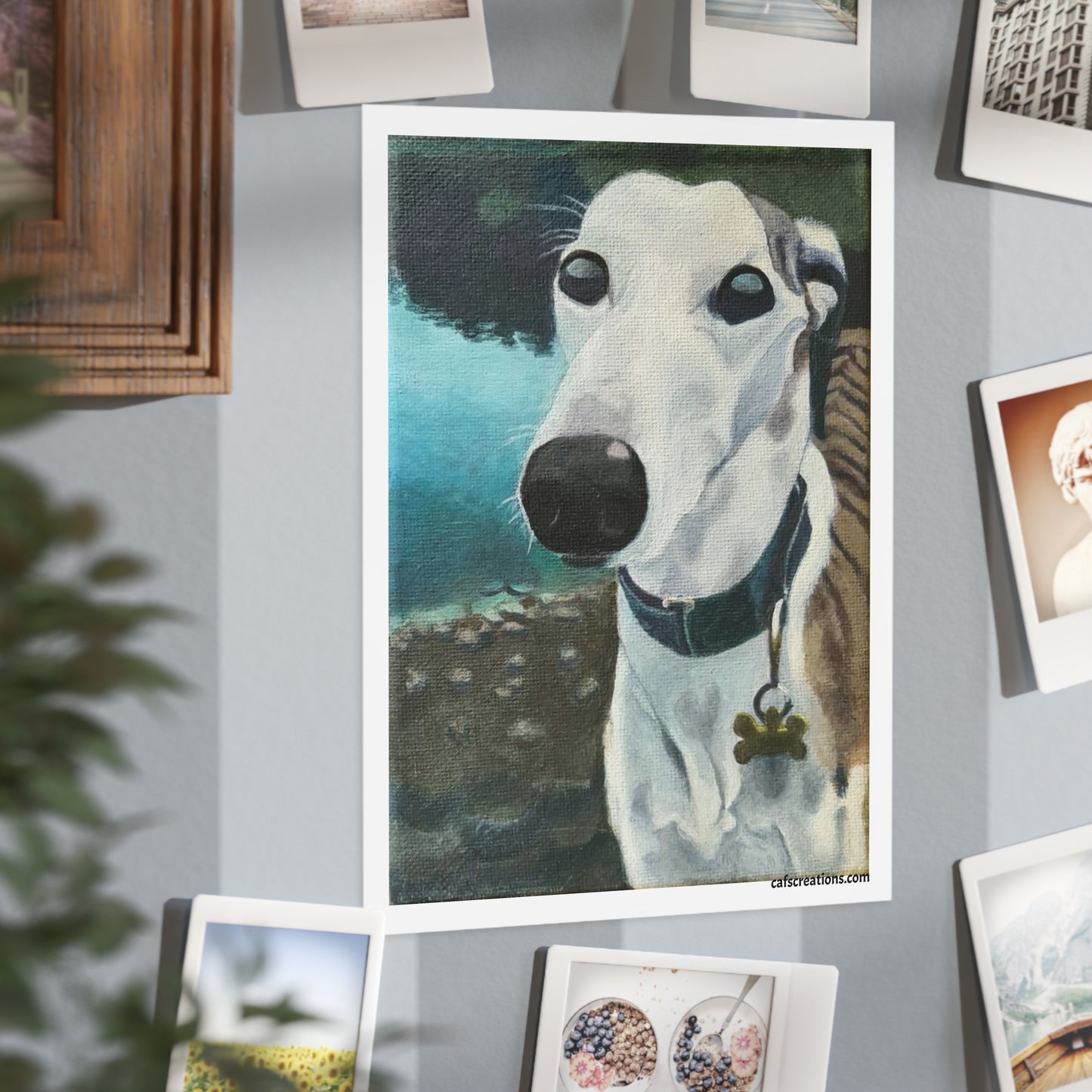 Jack, the Grey Hound