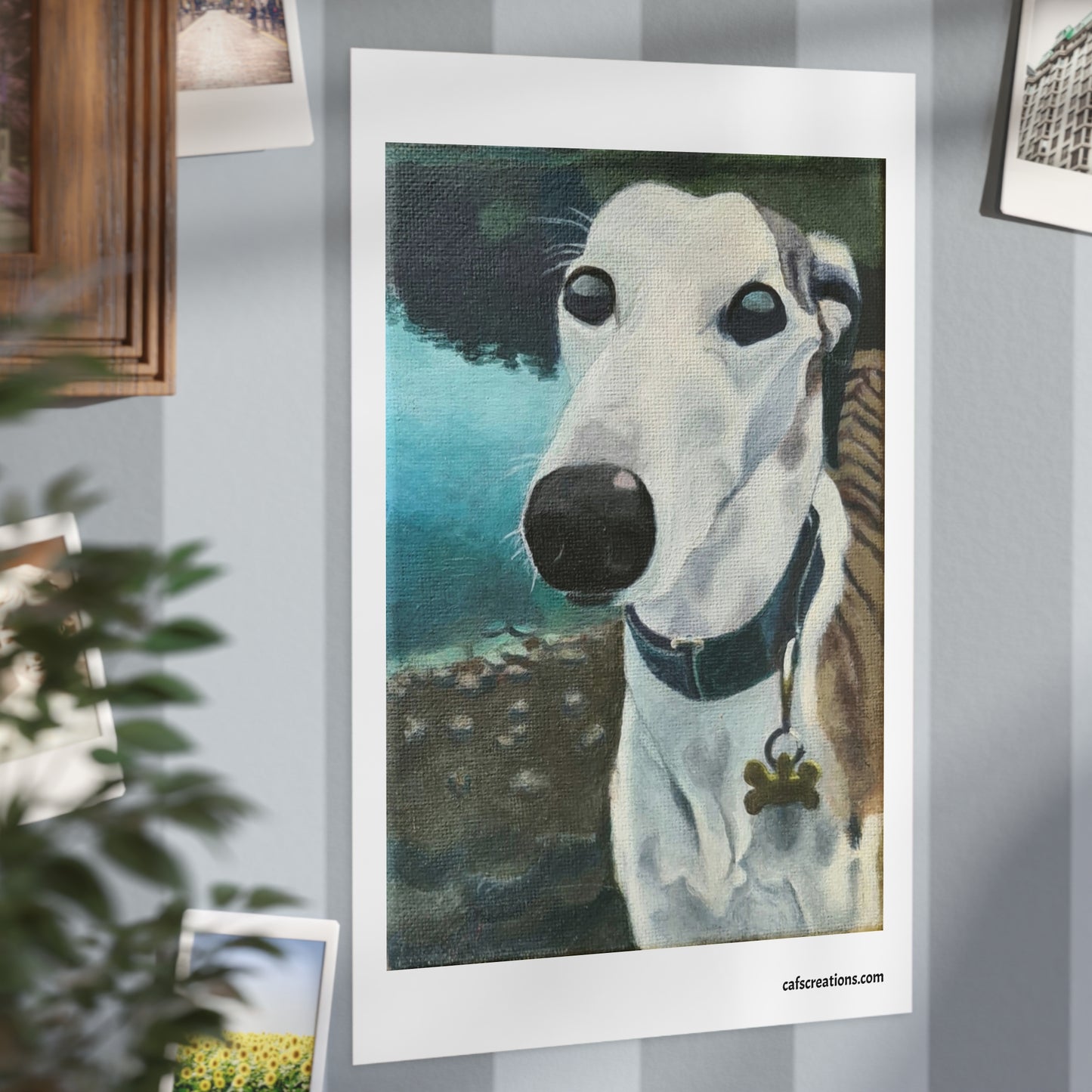 Jack, the Grey Hound