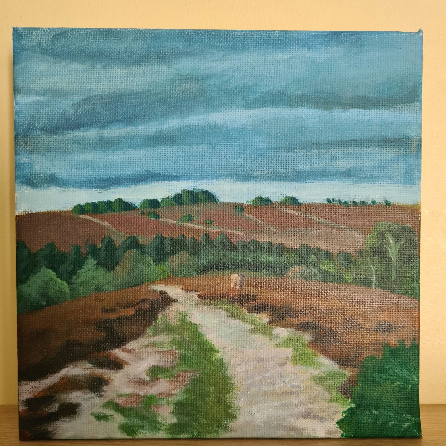 New Forest path image 0