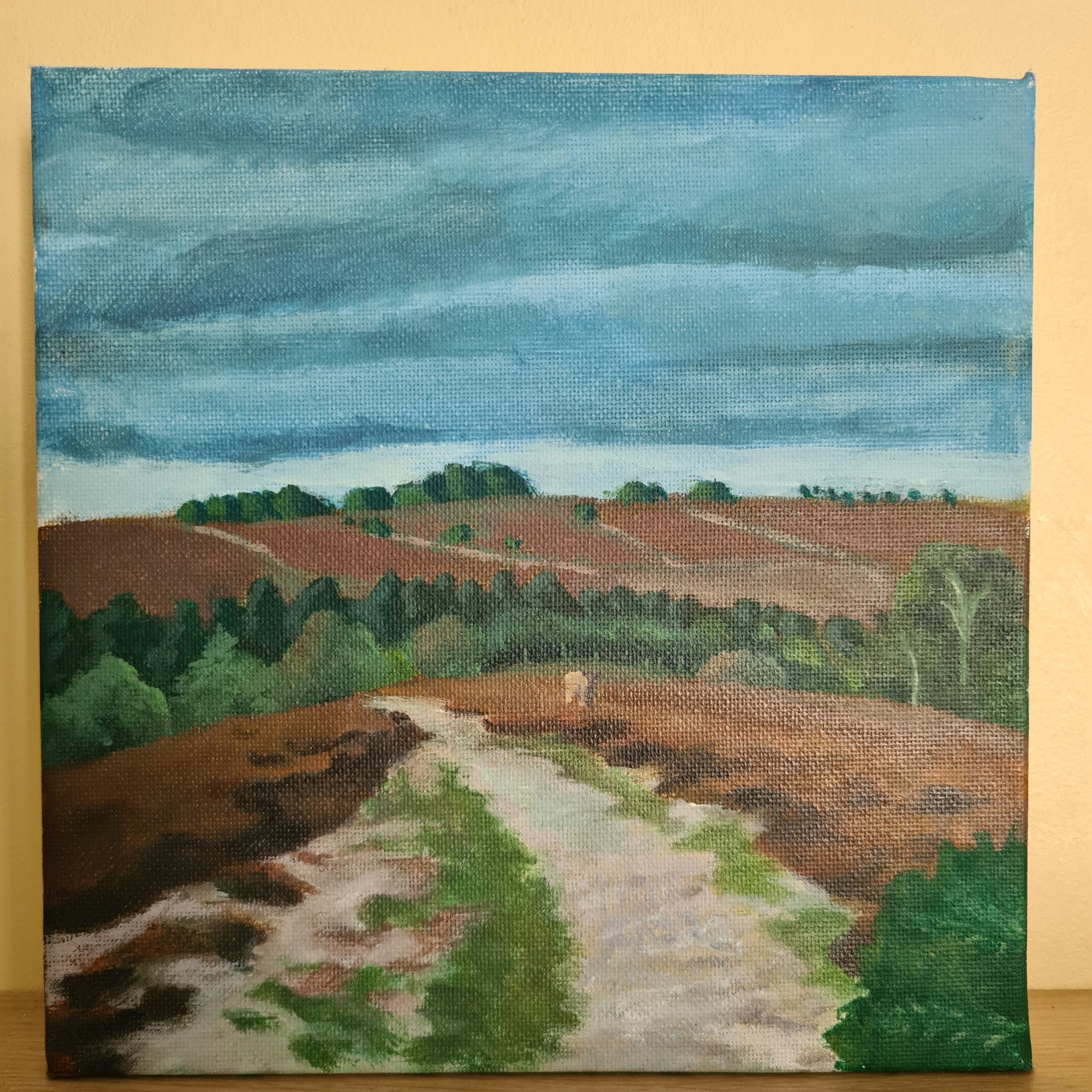 New Forest path image 0
