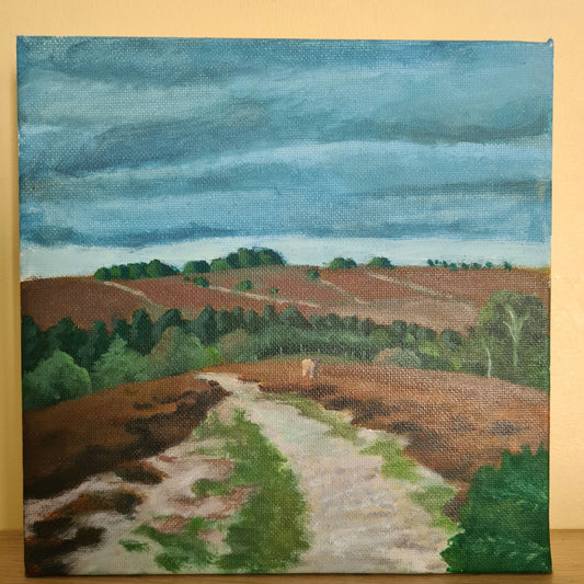 New Forest path image 0