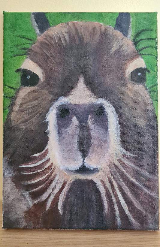 Cool Capybara image 0