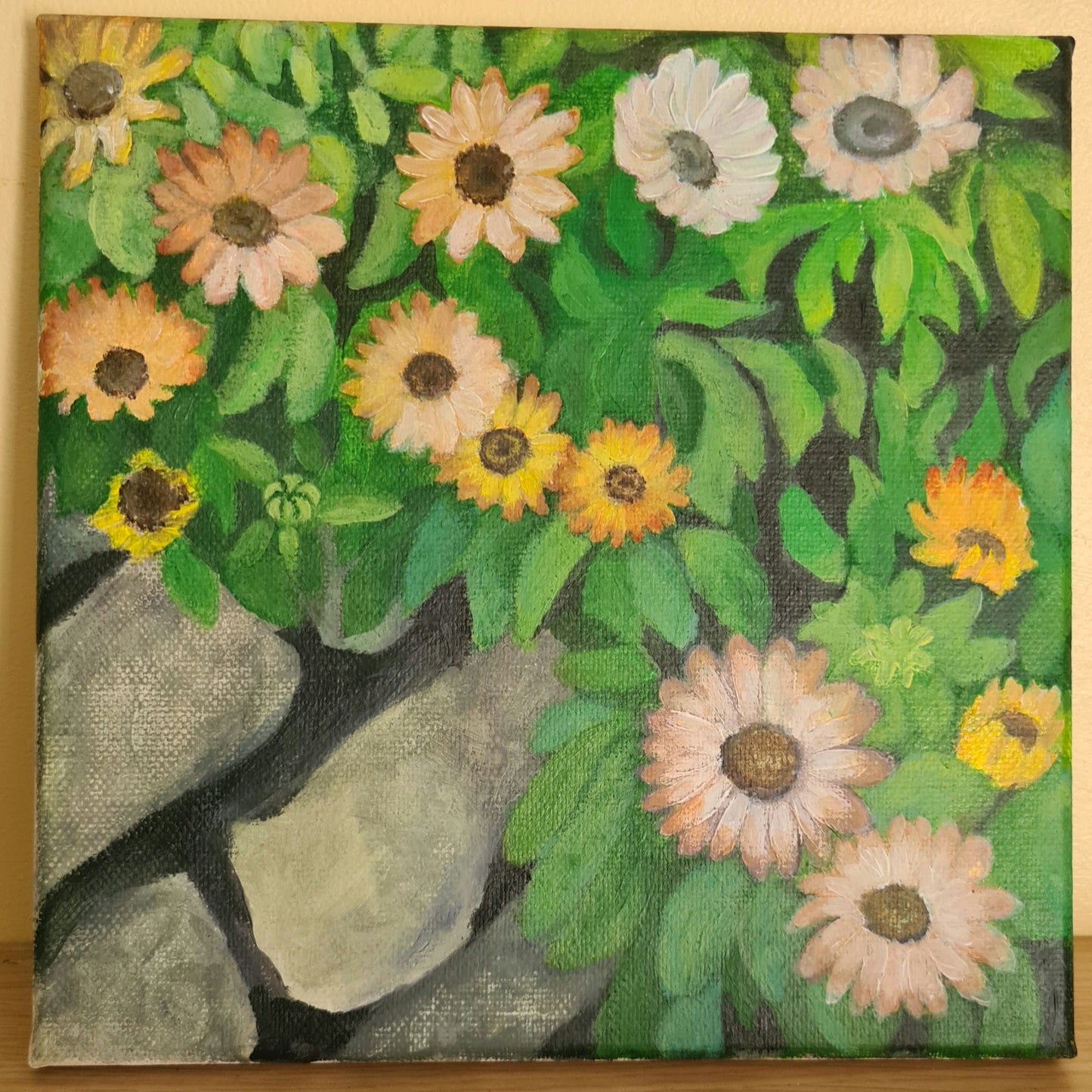 Seaside daisies image 0