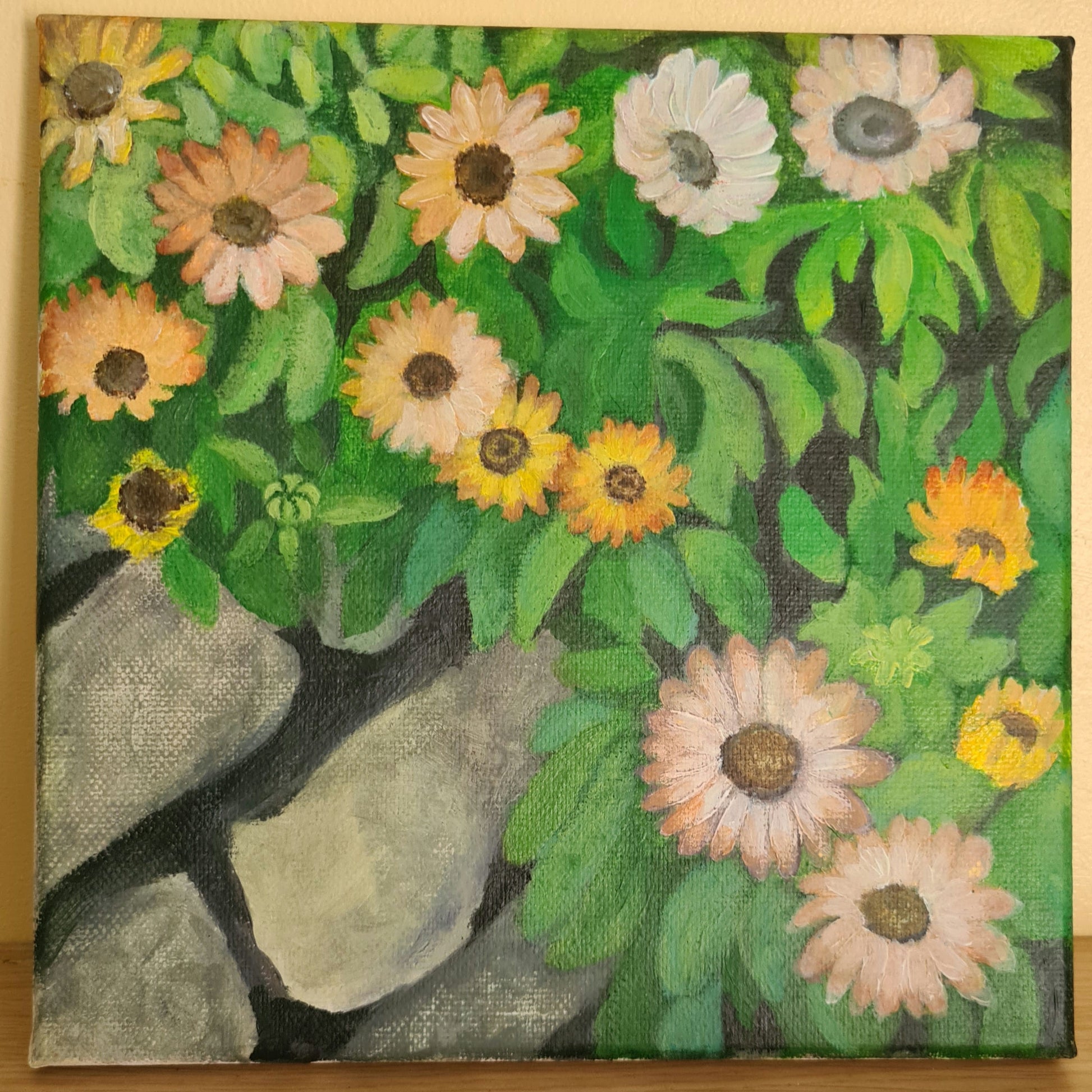Seaside daisies image 0