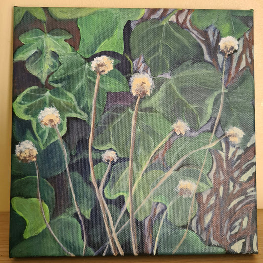 Ivy and seed pods image 0
