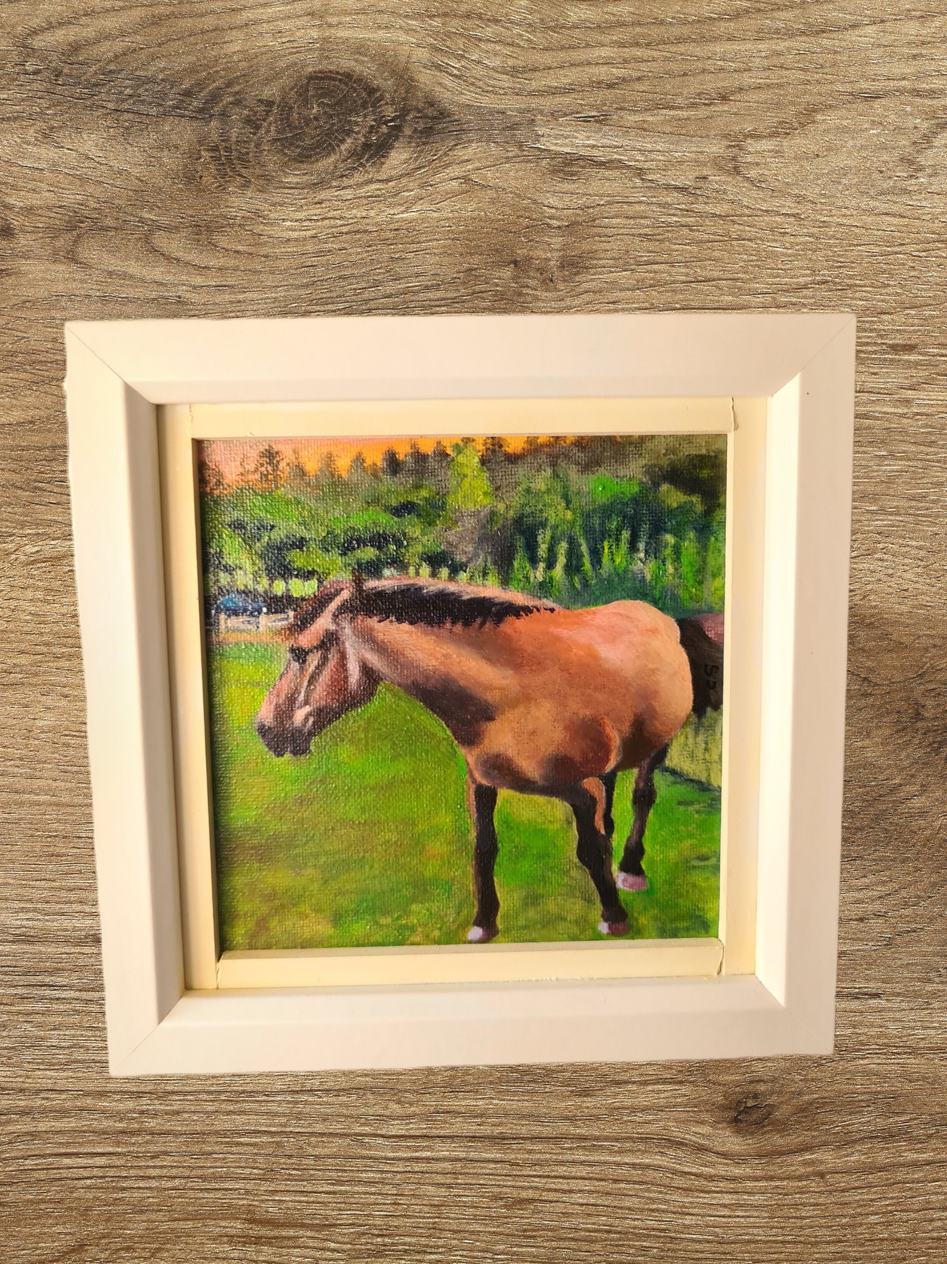 New Forest Horse image 0