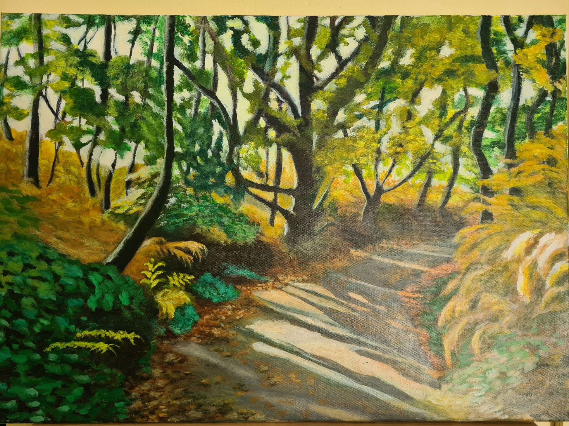 Forest path image 0