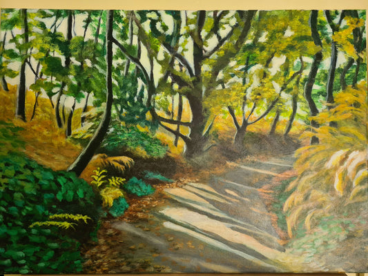 Forest path image 0
