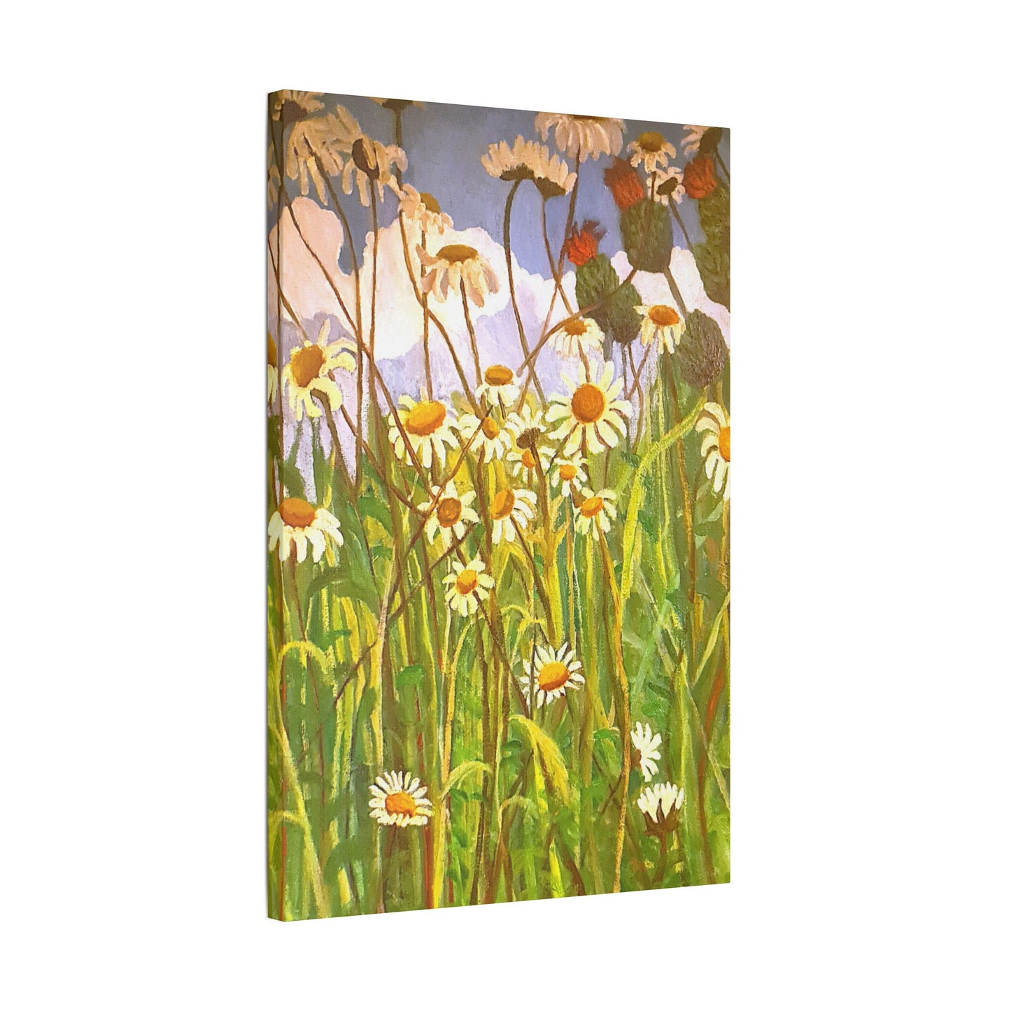 'Giant Daisies' Stretched Canvas Wall Art