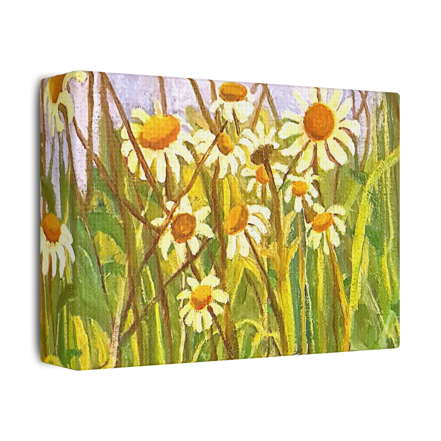 'Giant Daisies' Stretched Canvas Wall Art