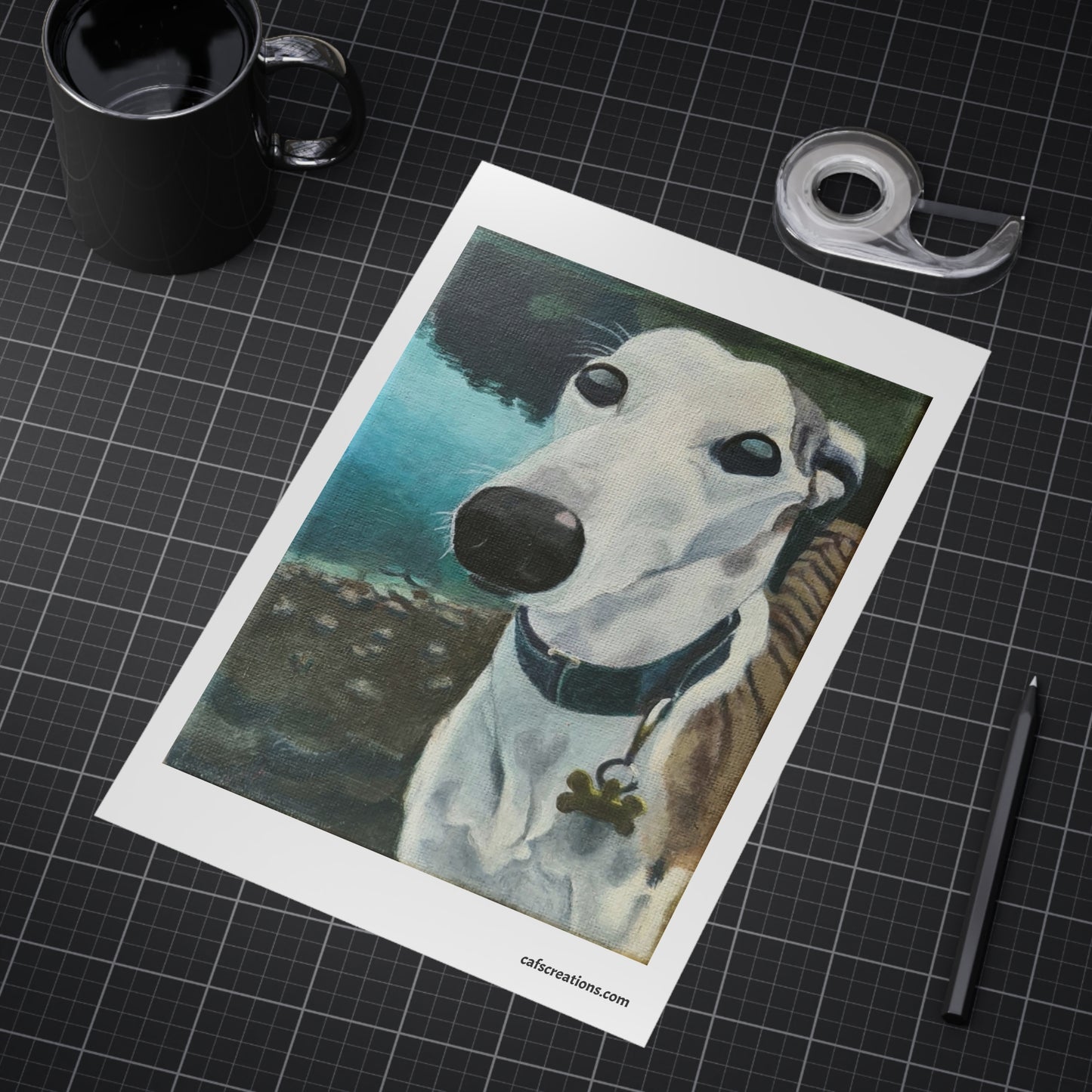 Jack, the Grey Hound