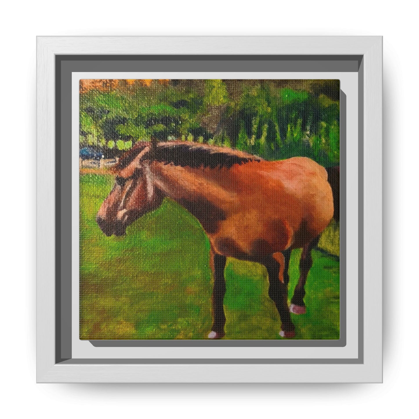 Matte Canvas, Framed (Multi-color)