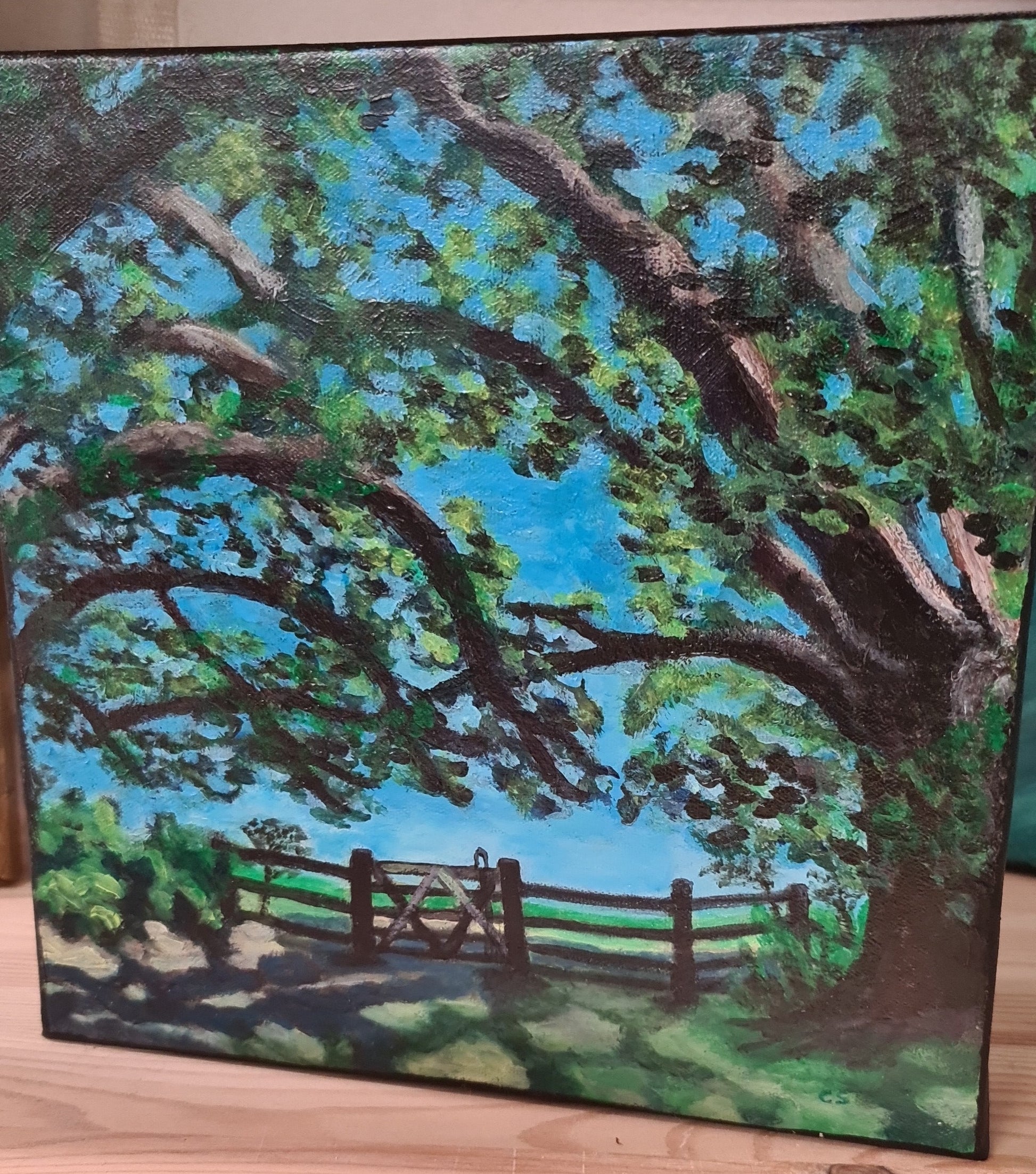 a gate between trees with a shadowed path in the foreground