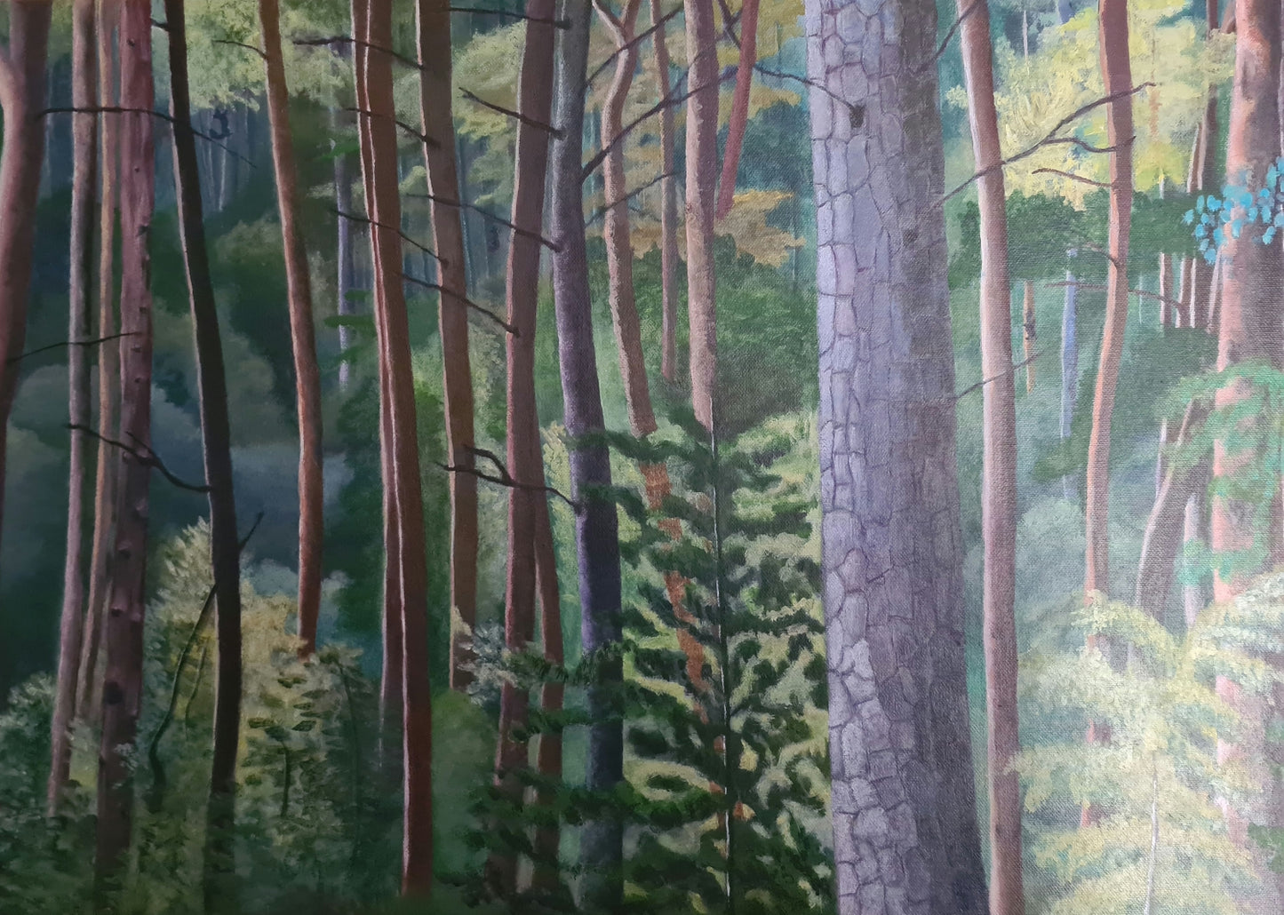 Forest Light image 0