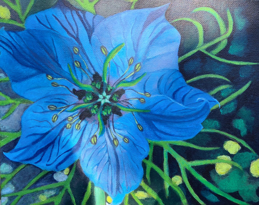 Blue Clematis image 0