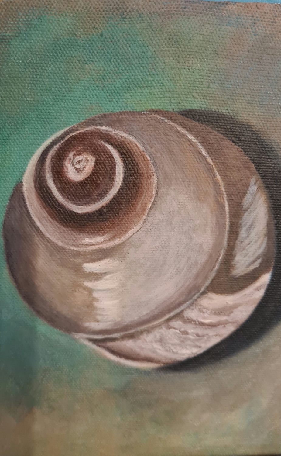 Whirl shell image 0