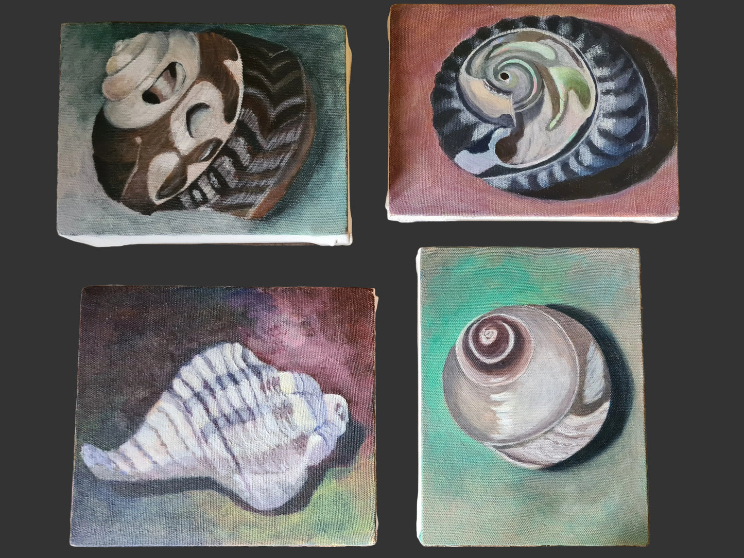 Four ceramic tiles with shell designs on a wooden surface