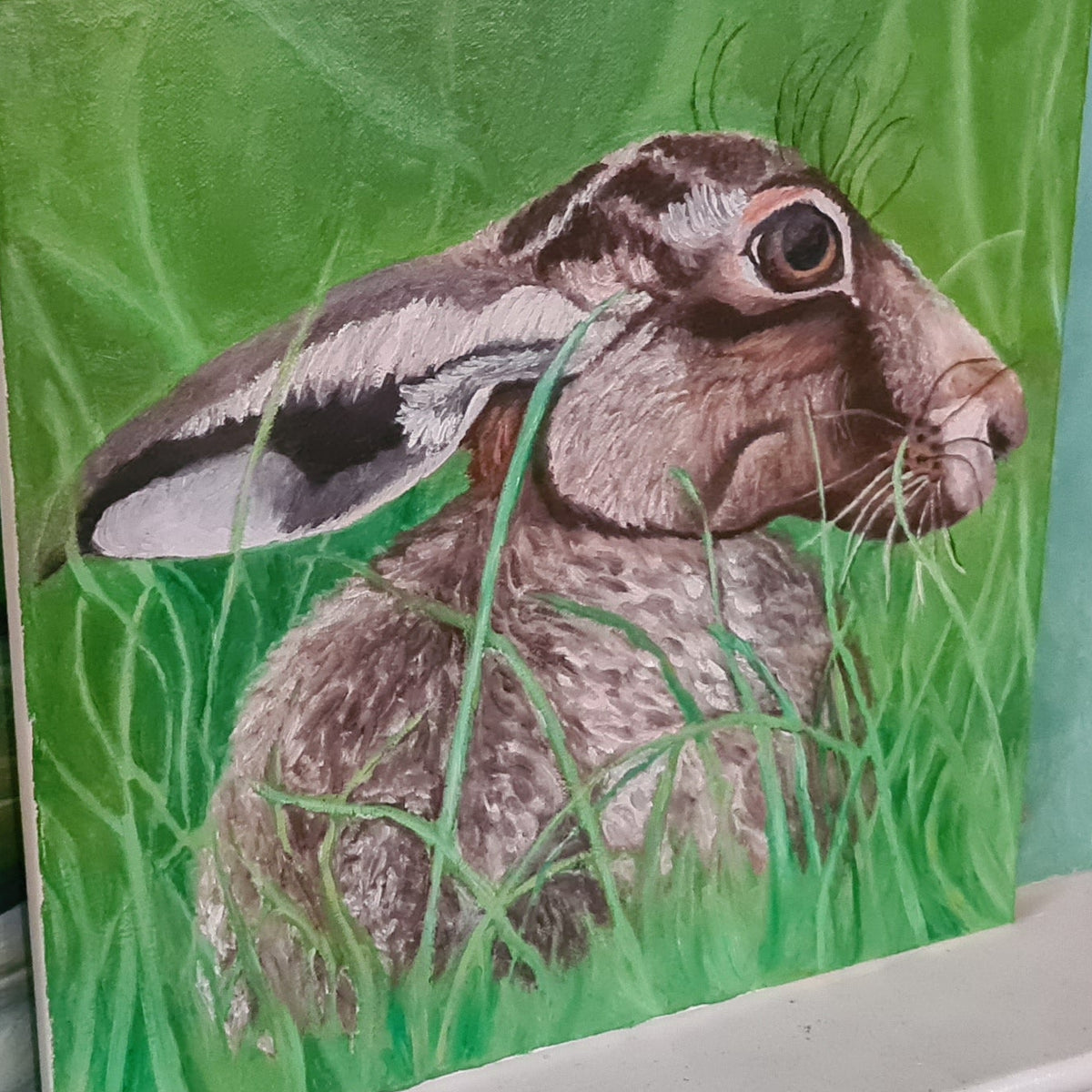 Hare
