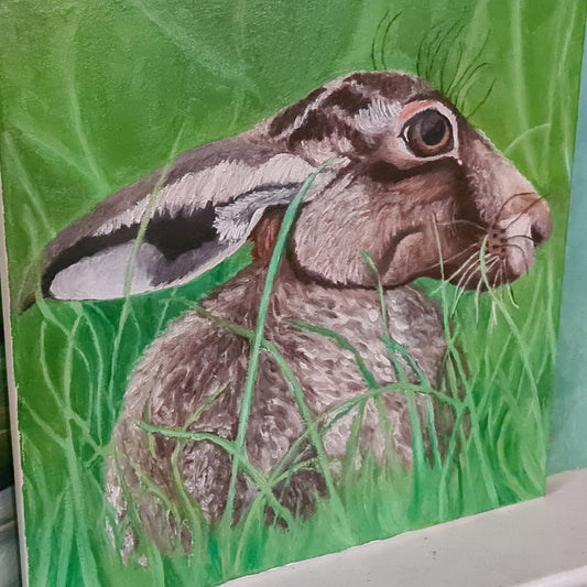 Hare